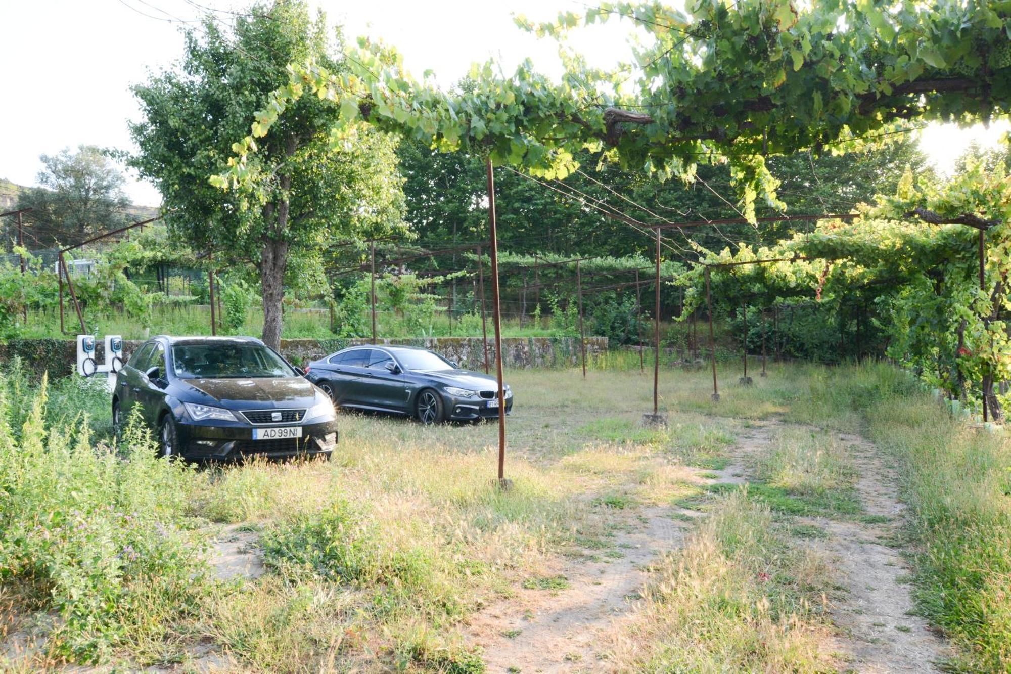 Vila Quinta Do Fundo Mondim de Basto Exteriér fotografie